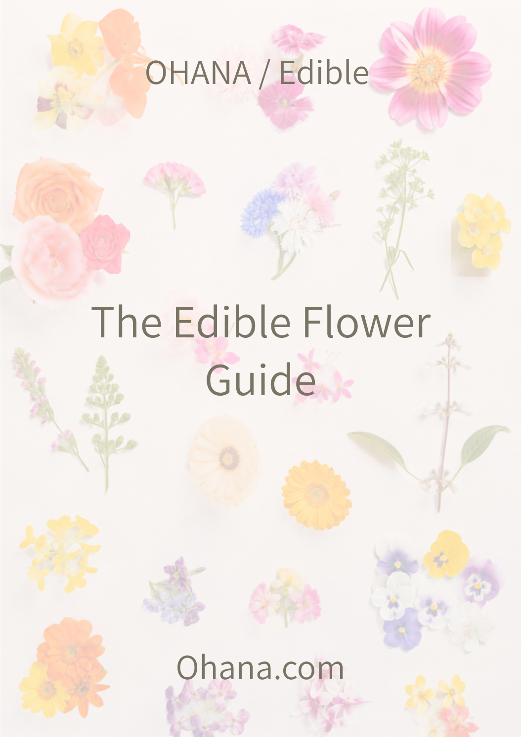 Ohana　The Edible Flower Guide