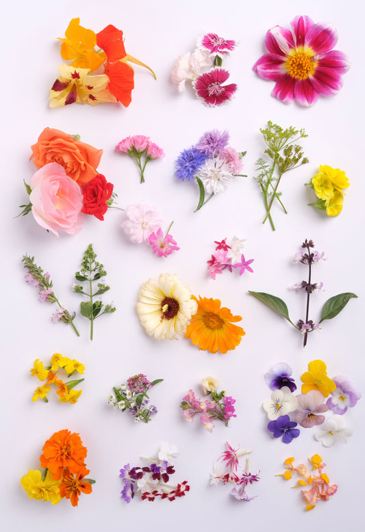 Ohana　The Edible Flower Guide